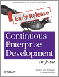 Continuous Enterprise Development in Java
