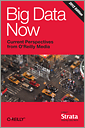 Big Data Now: 2012 Edition, 2nd Edition