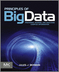 Principles of Big Data