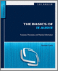 The Basics of IT Audit