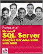 Professional Microsoft SQL Server Analysis Services 2008 with MDX 