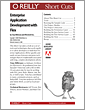 Agile Enterprise Application Development with Flex