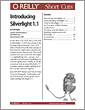 Introducing Silverlight 1.1