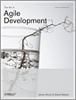 The Art of Agile Development