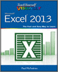Teach Yourself VISUALLY Excel 2013