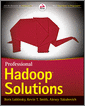 Professional Hadoop Solutions