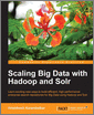 Scaling Big Data with Hadoop and Solr