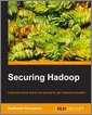Securing Hadoop