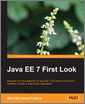 Java EE 7 First Look